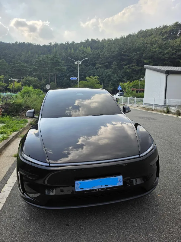 테슬라 Model Y